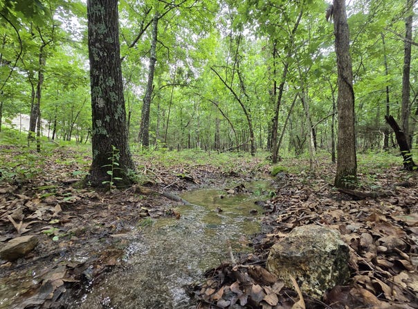 Golf Course Road, Marshfield, MO 65706