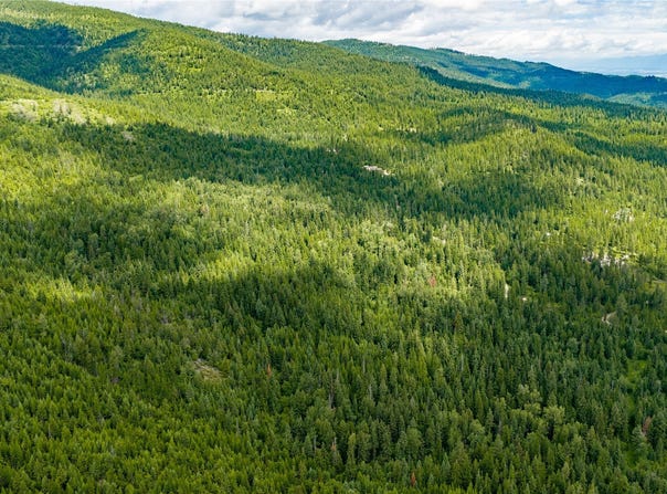 NHN Peach Park Loop, Rollins, MT 59931