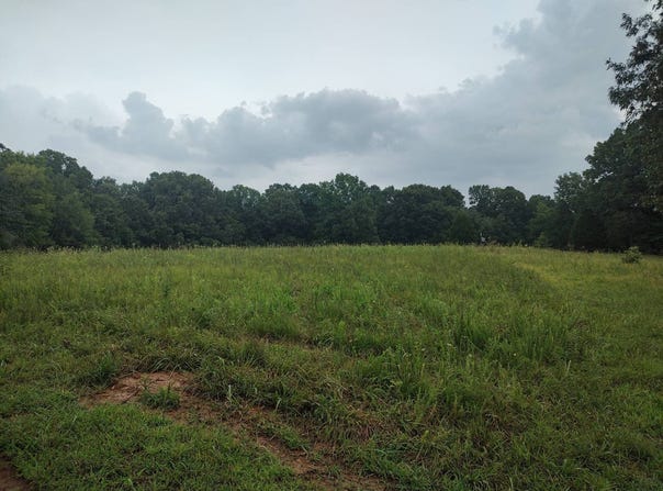 Hwy 140 E, Buchanan, TN 38222