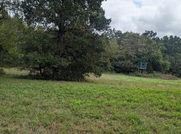 5740 SE 731 Road, Collins, MO 64738