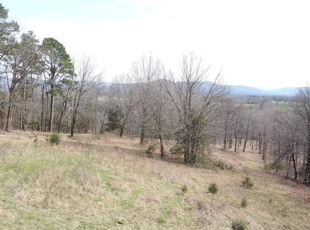 Highway 123, Hasty, AR 72640