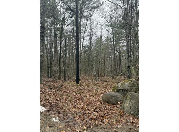 Sequoia Mountain Lane, Jay, NY 12941