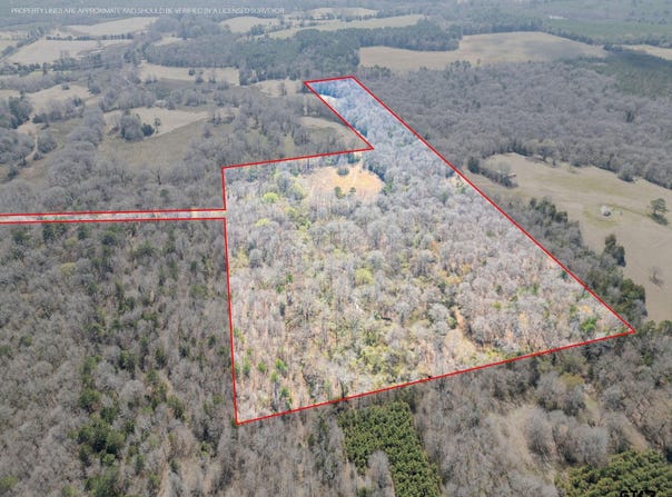 120 TBD Stevens, Marietta, TX 75566