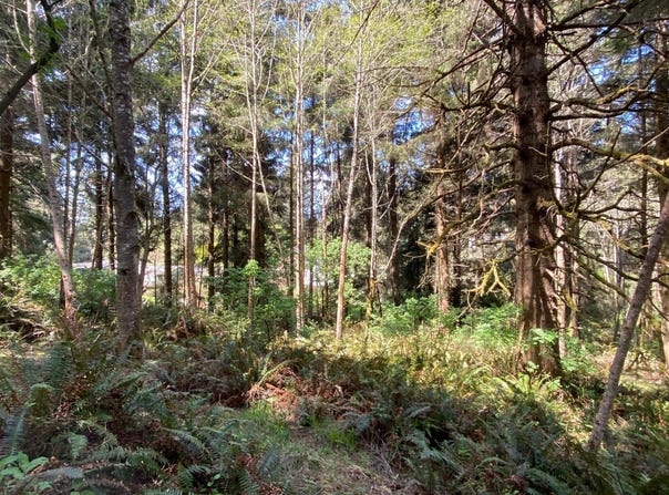 Worthington Drive, Humboldt Hill, CA 95503