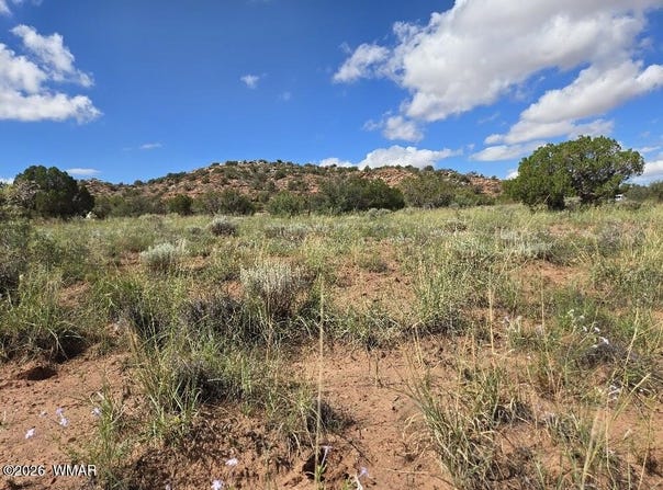 3861 Coronado Road, Snowflake, AZ 85937