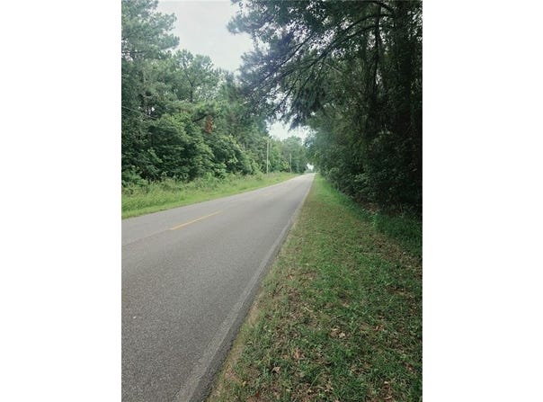 2 Two Mile Road, Irvington, AL 36544
