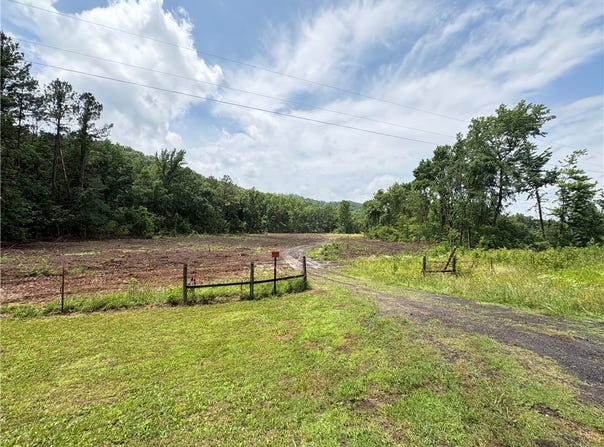 50.65+/- acres off SR 164 W, Dover, AR 72837