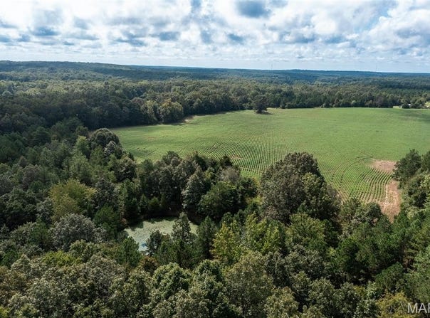 Tract 2 BCR 810, Glen Allen, MO 63751