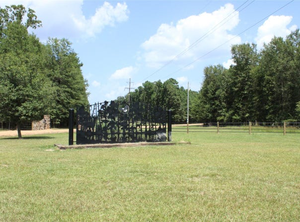Eagle View Drive, Lewisville, AR 71845
