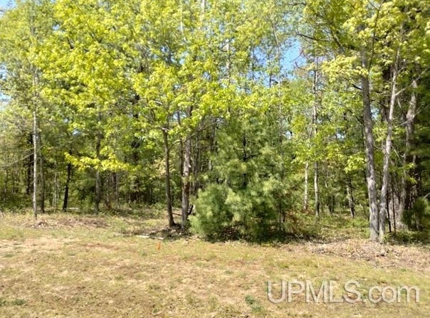 10481 Breezy R.22 Lane, Rapid River, MI 49878