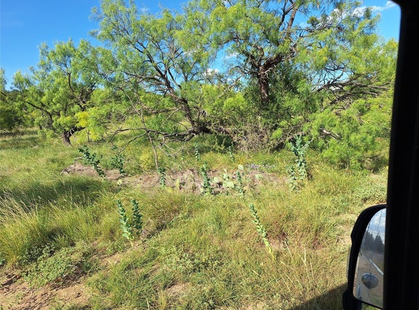 Lakeside Circle, May, TX 76857