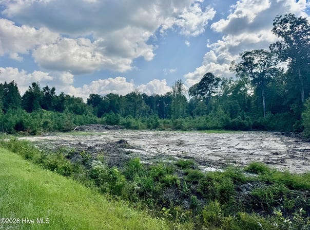0 Near 436 Near 436 Giles Byrd Road, Hallsboro, NC 28442