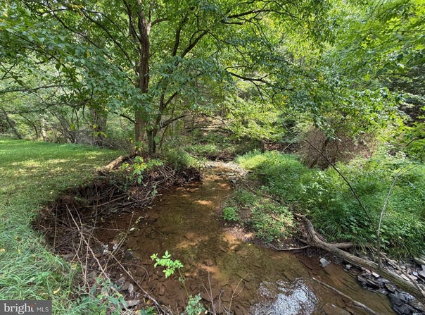 3.12 AC Lot 2 UPPER SKAGGS RUN RD, BAKER, WV 26801