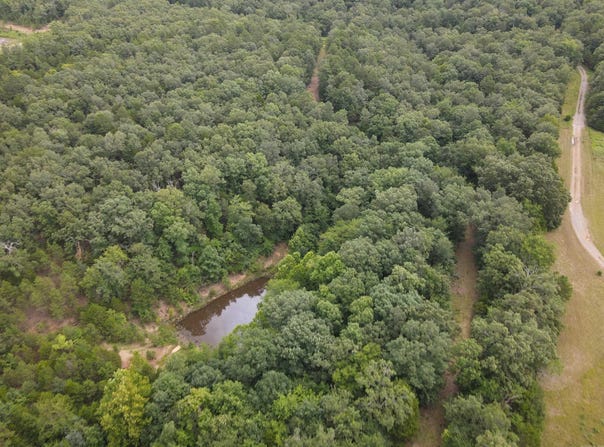 Merryman Road, Clinton, AR 72031