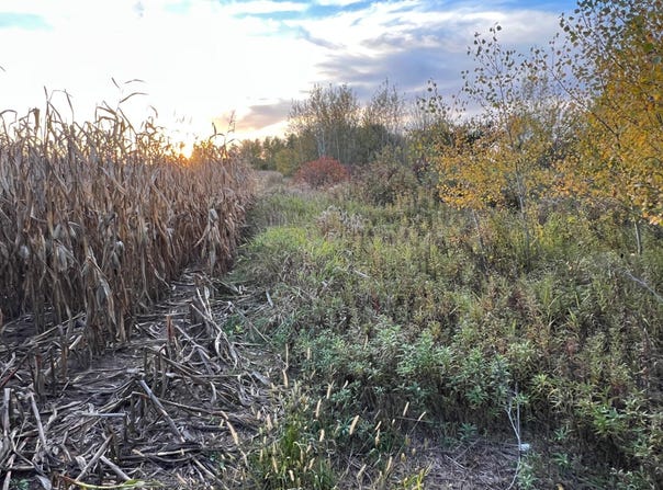 Holly Rd, Pine City, MN 55063