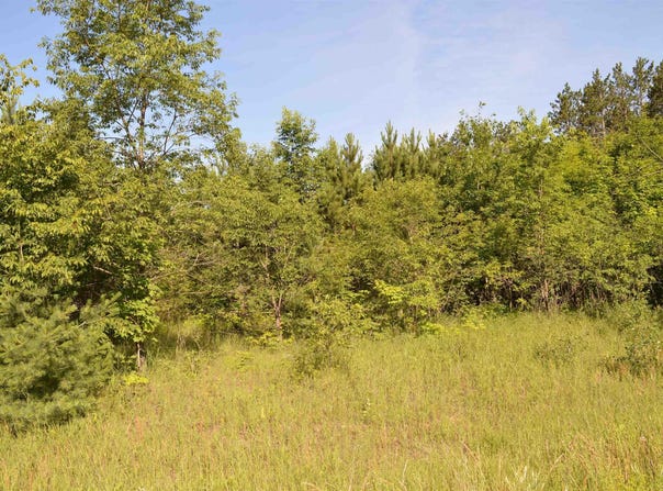 NE HOLLY ROAD, KALKASKA, MI 49646