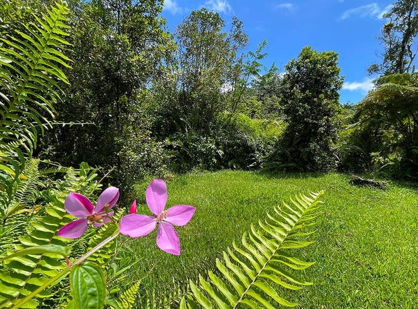 MAILE ST, Pahoa, HI 96778