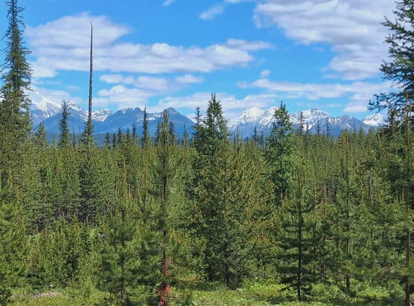 11532 North Fork Road, Polebridge, MT 59928