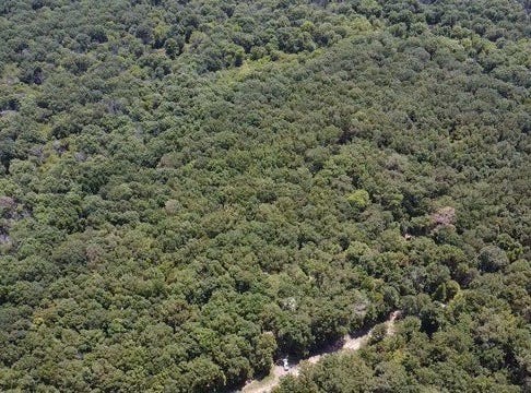 113 Triple Creek, Avery, TX 75554