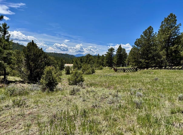 TR42 CR 329, Westcliffe, CO 81252