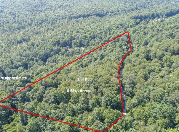 BETTS Lane lot: 1, OAKLAND, MD 21550