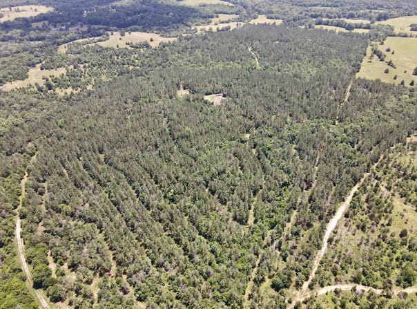 Lonsdale, AR 72087