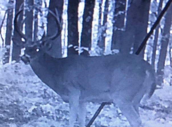 Texas Hollow Rd, Pedro, OH 45659