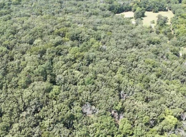 S 68th Rd, Dunnegan, MO 65640