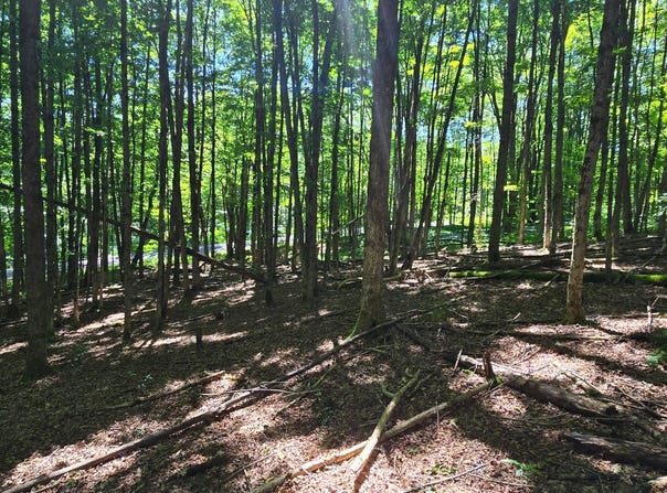 0WP Ridge Rd, Otselic, NY 13464