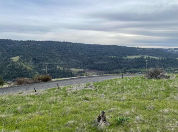 Starthistle Lane, Lenore, ID 83541