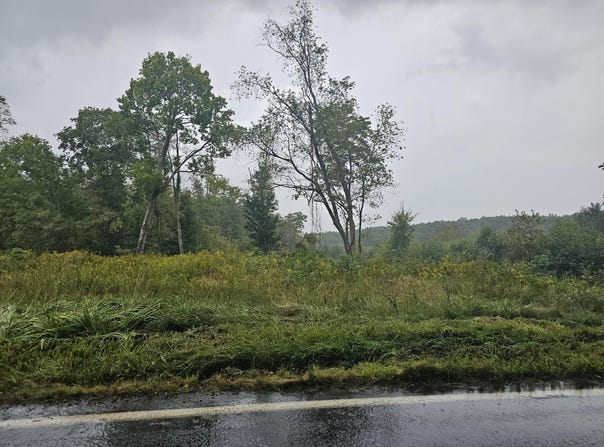 Rt 31, Danese, WV 25831