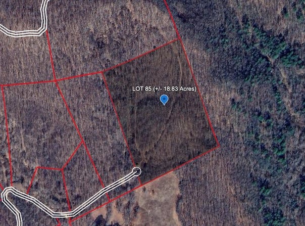 231 GERBER DAISY TRAIL, BRAGG, WV 25918