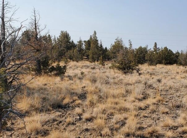 Browning Street, Prineville, OR 97754