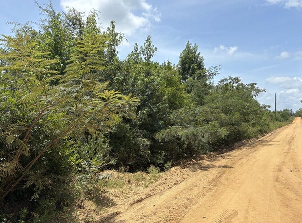 James Evans Rd, Rentz, GA 31075