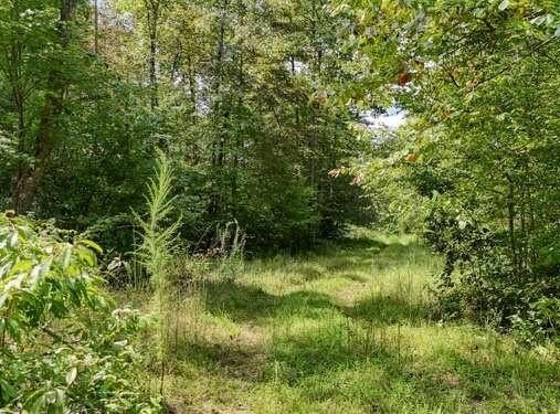 Cowart Road, Hayesville, NC 28904