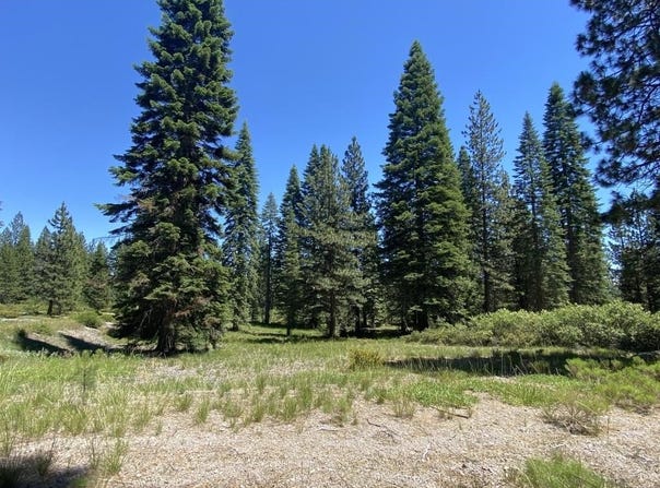 2-E-15 Snowline Cir, McCloud, CA 96057