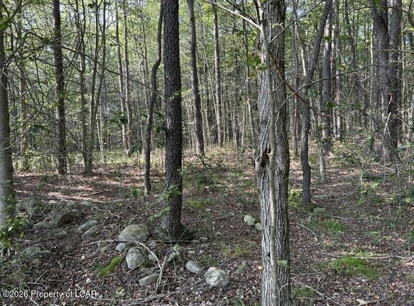 Bellasylva Road, Forkston, PA 18614
