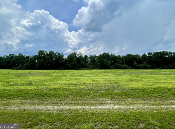 146 WELLER'S Way, Brooklet, GA 30415