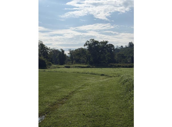 Main Street, Cavendish, VT 05153