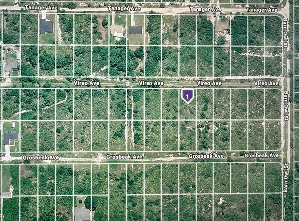 222 VIREO Avenue, SEBRING, FL 33870