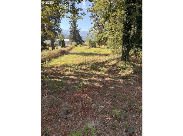 McKenzie Hwy, Springfield, OR 97477
