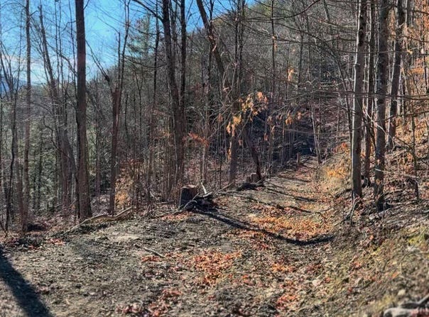 Gorge Road, Middleburgh, NY 12122