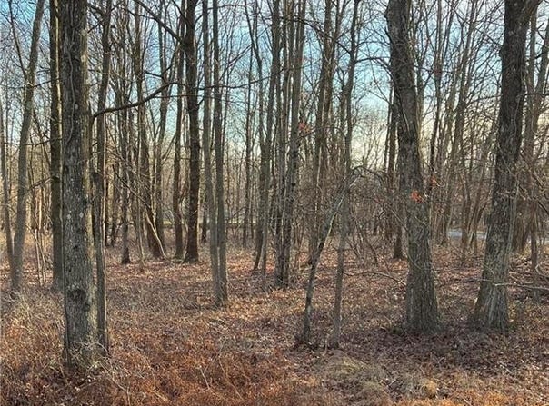 119 Seneca Road, Penn Forest Twp, PA 18210