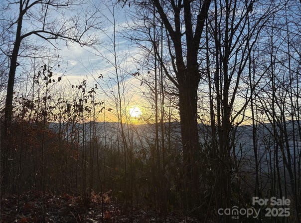 899 Hyacinth Drive, Clyde, NC 28721