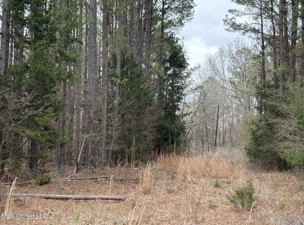 County Road 2211, Kosciusko, MS 39090
