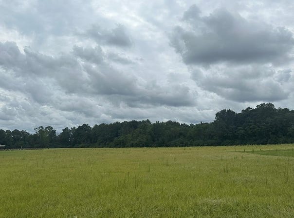 Hadden Road lot: 1, Dothan, AL 36301