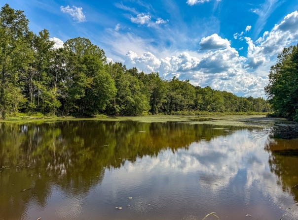 5540 Water Ave, Selma, AL 36701
