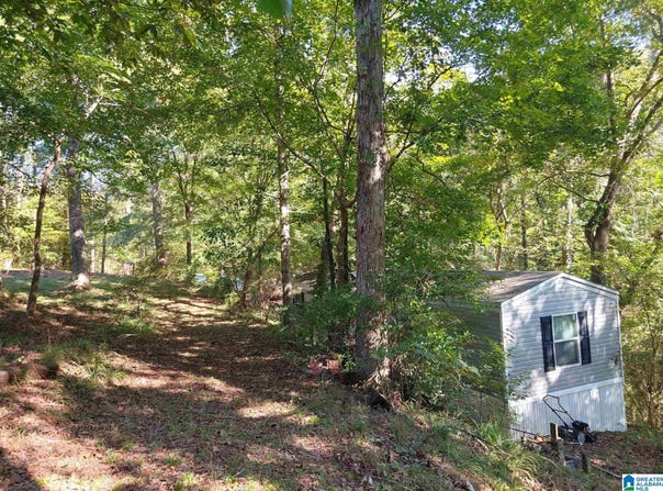 421 RIVER HILL LANE, ADGER, AL 35006