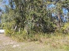 SE 61ST Place, OCKLAWAHA, FL 32179