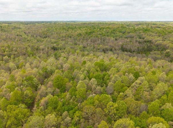 Cass Road, Hartville, MO 65667